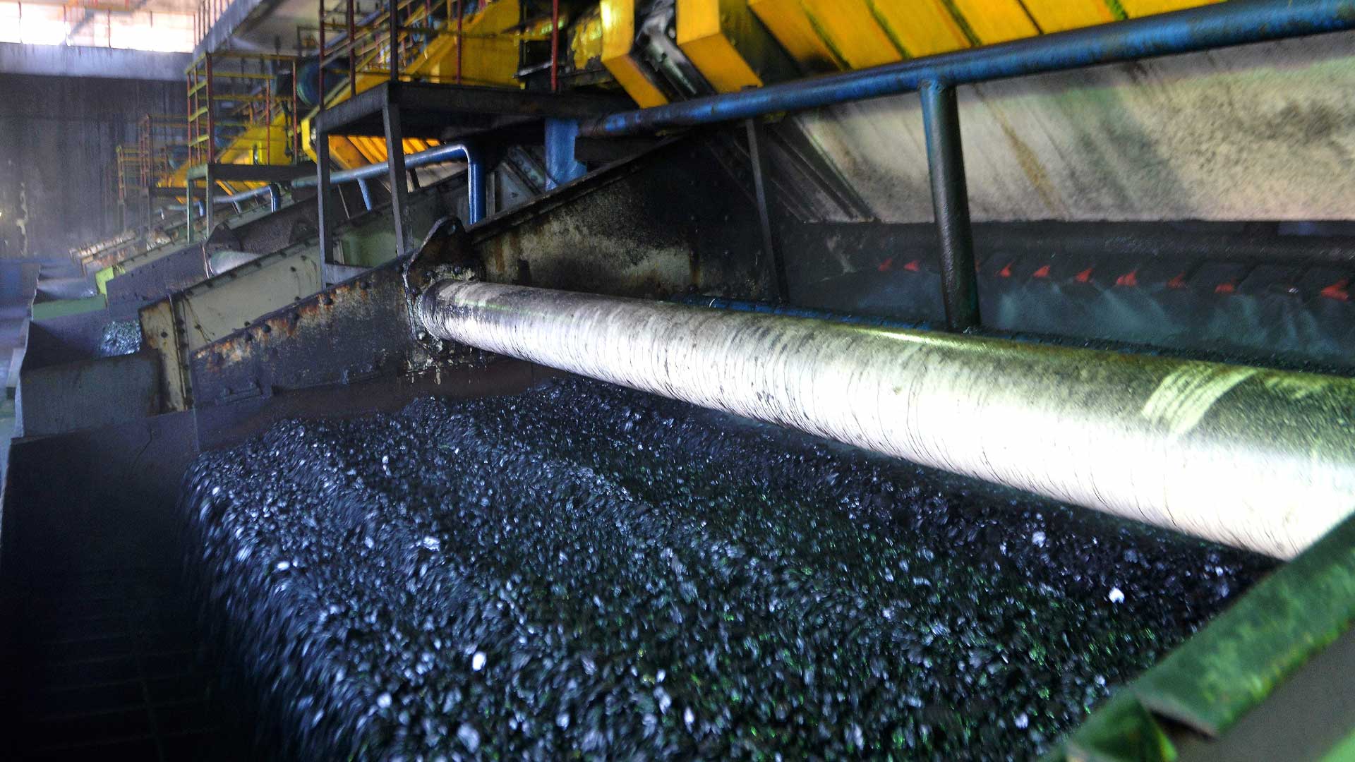 कोइला धुने