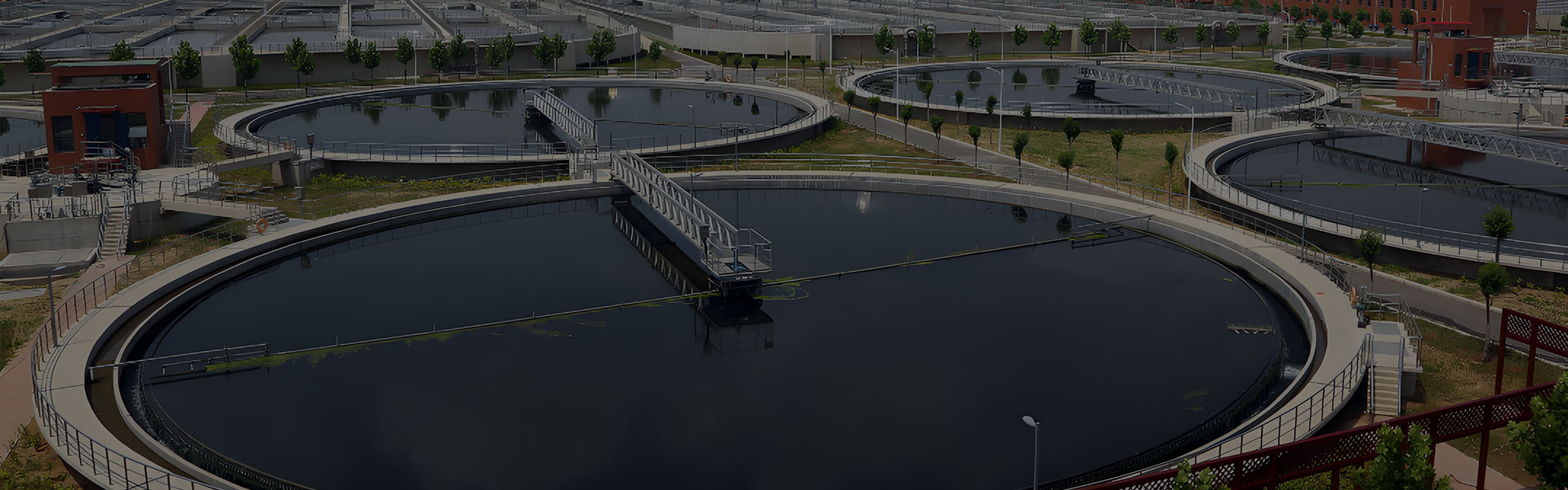 बालुवा धुने